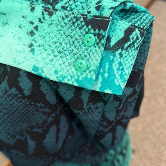 🖤The Limited🖤 Ombré, snake print blouse, size L - Picture 2 of 10